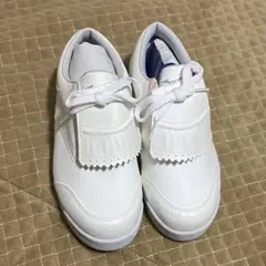 新品‼️MIZUNO グリーンシップアルファ 24.5 EEEのサムネイル