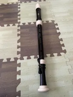 Item thumbnail for item d6d97acb-c6ff-4cd5-b25e-329f13ff9680