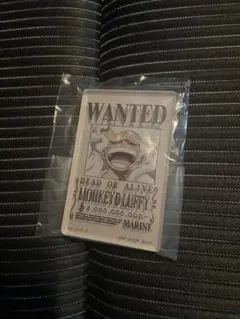 一番くじ ワンピース EX 悪魔を宿す者達 G賞 アクリルブロック ニカ ルフィ