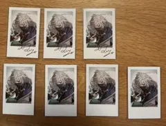 叢雲カゲツ デビュー チェキ