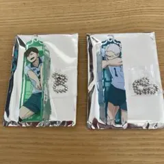 ハイキュー!! トレーディングアクリルネーム　ブロックキーホルダー　二口　青根