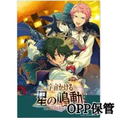 1枚 ESポスター 特典 Valkyrie