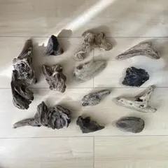 流木 12個 アソート 詰め合わせ