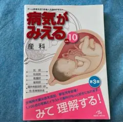 2025年最新】病気がみえる 産科の人気アイテム - メルカリ