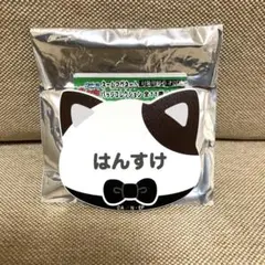 忍たま乱太郎 土井半助 ナンジャタウン ネームバッジ ネームマグネットバッジ 猫