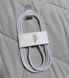 iPhone17 ケーブル　純正