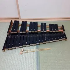 2025年最新】コンパクト木琴の人気アイテム - メルカリ