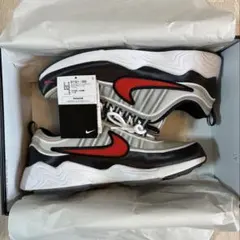 ナイキ エア ズーム スピリドン