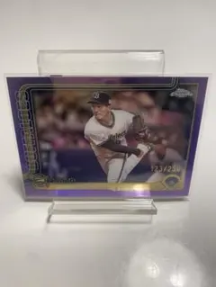 Item thumbnail for item 007e9056-d4df-4269-90c8-f9d4fb46dbfc