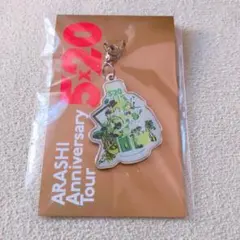 嵐 5×20 チャーム 緑