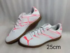 Item thumbnail for item 45b20877-7940-45bc-aeb9-ccbbdfcab926