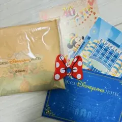 【おまけ付】ディズニーランドホテル ポストカード エコバッグ セット