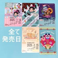 リゾートラインフリーきっぷ　パルパルーザヴァネロペ　スモールワールド　ダッフィー