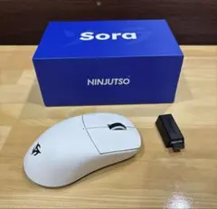 Ninjutso sora white