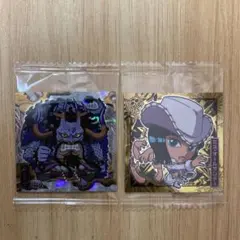 ワンピース 大海賊シールウエハース LOG.4 SR カイドウ R ロビン