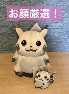 はじまりのピカチュウ ぬいぐるみ　マスコット　セット