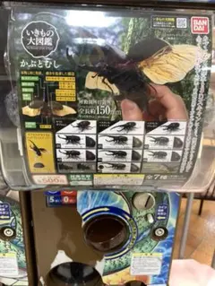 いきもの大図鑑　かぶとむし　ヘラクレス・プリュゼニ　2種セット