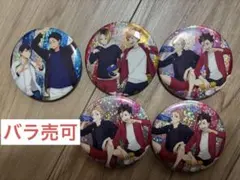 【バラ可】ハイキュー！！缶バッジ