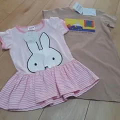 Item thumbnail for item a003a00b-702a-4347-9cc1-69d57a13c169