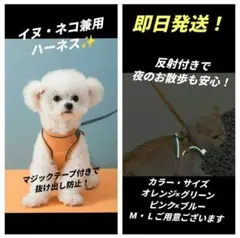 Mオレンジ グリーン ハーネス リード 新品 犬 猫 散歩 セット