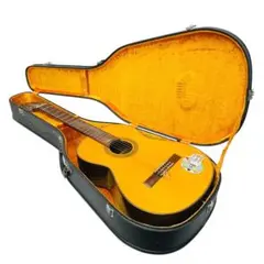2026年最新】SHINANO GUITARの人気アイテム - メルカリ