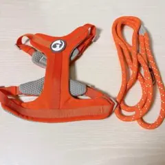 【新品・未使用】犬用 ハーネス＆リード セット Sサイズ オレンジ