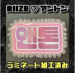 IKN⋆౨ৎ˚⟡.•様 リクエスト 2点 まとめ商品