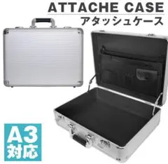 Item thumbnail for item 0cff02d4-d399-407d-9041-0d49bf26bac5