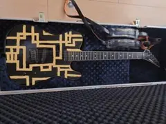 2025年最新】FERNANDES 種類：テレキャスタータイプ エレキギターの