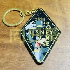 ディズニーストア ディズニーリゾート店限定 シークレットキーホルダー グーフィー