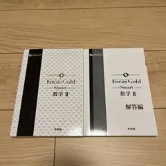 Focus Gold Smart 数学 II
