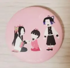 2026年最新】鬼滅の刃 胡蝶三姉妹の人気アイテム - メルカリ