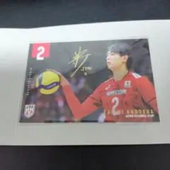 Item thumbnail for item d9463056-aa1c-45db-94a6-d5c557c0f765