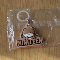 SEVENTEEN MINITEEN めじるしアクセサリー ディノ
