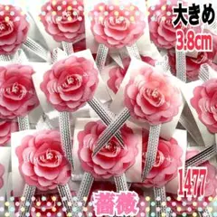 Item thumbnail for item 2e828e17-9bb5-419c-ba4d-5d19df83b72b