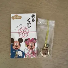 ディズニーストア　新春くじ　チップとデール
