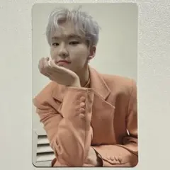 SEVENTEEN 舞い落ちる花びら B盤 ホシ トレカ