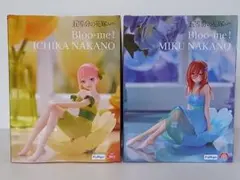 2025年最新】Bloo-me! 中野三玖の人気アイテム - メルカリ