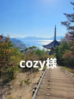 3種15kg　紅八朔　はるか　レモン 紅八朔 はるか ストレートジュース100% 720ml×2本 商品詳細 あおいくま