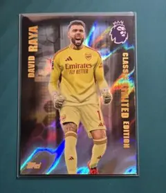 Item thumbnail for item c03c4173-f1b6-4ad3-8b36-caca476d29be