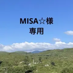 MISA☆様専用　ラウンドファスナーミニ財布　インド刺繍キラキラムーンベージュ