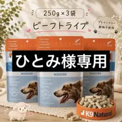 ‼️超メルカリ市セール‼️【新品】K9ナチュラル ビーフ・グリーントライプ 250g DD様専用】K9ナチュラル ビーフ・グリーントライプ 250g×2消化サポート