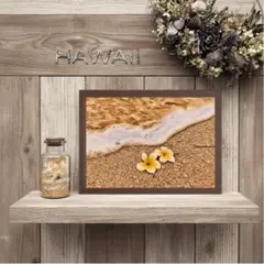 Item thumbnail for item e5a4bb93-de17-421d-b8bb-4212f272145a