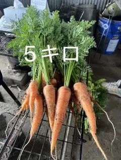 農薬、肥料不使用にんじん 5kgのサムネイル