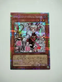 SPECIALPACK-STAMPEDITION ホワイトラビット　プリシク