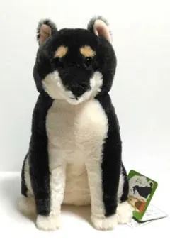 ほっこり柴犬茶々ノ助 ぬいぐるみ　BIG　黒柴　アミューズ　犬