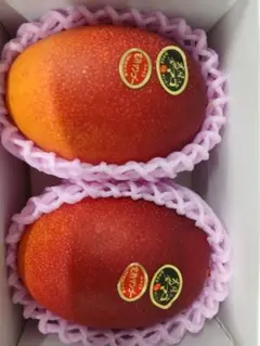 宮崎県産 太陽のタマゴ 赤秀 4Lサイズ2玉入り化粧箱 - メルカリ