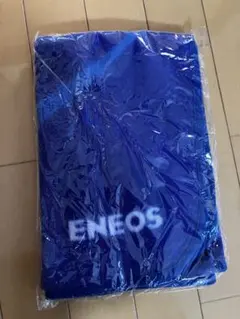 Item thumbnail for item af7ffeb3-372a-44c8-a989-20cb09143828