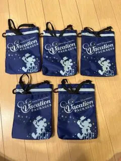 ディズニー　チケットホルダー　５つセット