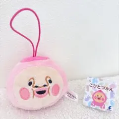こびとづかん フェイスマスコット カクレモモジリ　ラウンドワン限定ぬいぐるみ(f